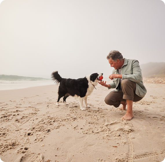 Image of person sitting on a beach with a dog