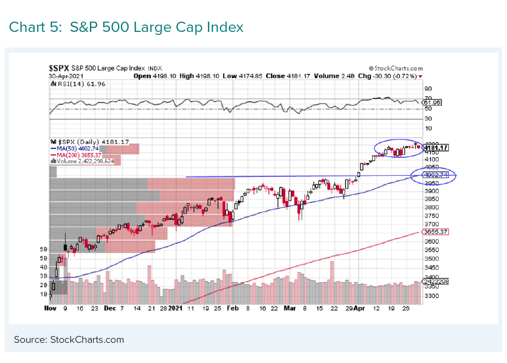 S&P 500 Large Cap Index